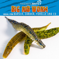 Big Worms Wurm gerippt Angelköder Multi UV Flusskrebs